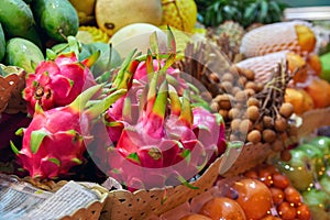 Concept asian food market. Dragon fruit Pitahaya on counter street night vendor of fruits. Exotic fruits.