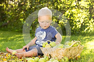 Concept of autumn. Cute baby boy sitting among yellow leaves and green apples. Idea for Harvest Festival ad.