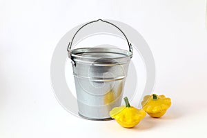 The concept of the autumn harvest. Zinc bucket and yellow squash on a white background, side view, space for text