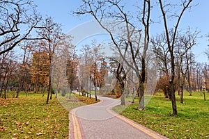 The concept of autumn meditative landscapes. Walking path in the autumn park. Selective focus, horizontal photo.