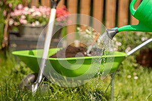 Pouring a stream of water from a watering can. Wheelbarrow with Gardening tools in the garden