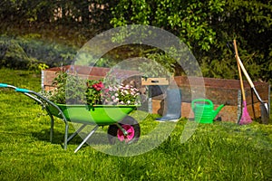 Wheelbarrow with Gardening tools in the garden. watering in the garden. rainbow formation