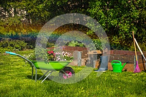 Wheelbarrow with Gardening tools in the garden. watering in the garden. rainbow formation
