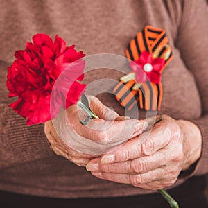 Concept background of May 9 russian holiday Victory Day. Old woman holding in hands a red carnation and St. George`s