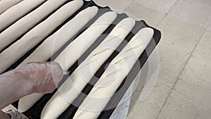 Baker making bread and cutting the dough. Artisan baker cutting the dough to make bread