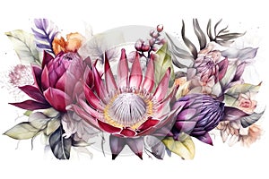 Banner with branches purple protea flowers, plumeria, hibiscus and tropical plants, hand drawn watercolor painting on white backgr