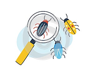 Concept of biology, entomology and coleopterology. Composition of insects and magnifying glass. Magnifier and species of