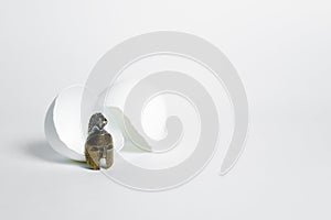 The concept of the birth of a warrior. Gladiator`s bronze helmet next to a broken egg shell