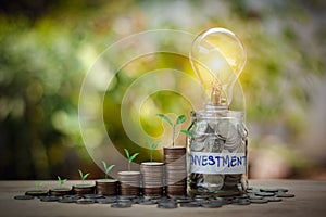 Concept of business with lightbulb and coins stacking saving money concept preset by tree on the top coins stack photo