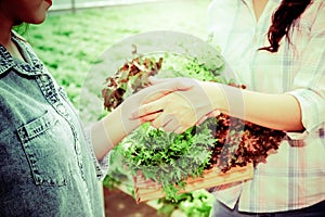 Concept Business partner for organic vegetable food for health