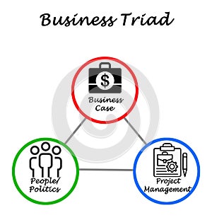 Concept of Business Triad