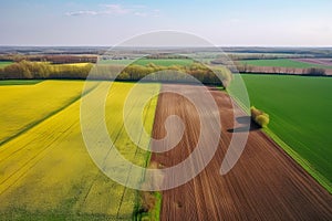 This concept captures the vibrant and picturesque beauty of crop fields when viewed from above.