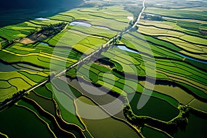 This concept captures the vibrant and picturesque beauty of crop fields when viewed from above.