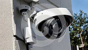 Caught on Camera.AI Generated