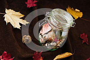 Concept of changing seasons summer in jar in autumn setting photo