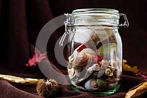 Concept of changing seasons summer in jar in autumn setting photo
