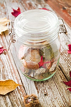 Concept of changing seasons summer in jar in rustic setting photo