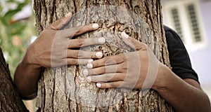 Concept of Chipko movement or Chipko Andolan - Hands hugging tree showing of save tree.