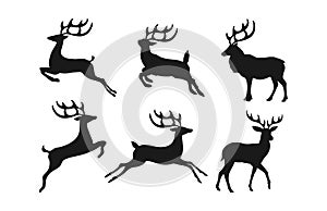 Reindeer Silhouette set photo