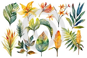 Collection of watercolor wild tropical leaves and flowers, jungle plant leaves isolated on white background, watercolor botanical