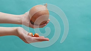 The concept of comparing more and less, the concept of growth and development. A huge onion compared to tiny bulbs