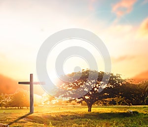 Concept conceptual black cross religion symbol silhouette in grass over sunset or sunrise sky