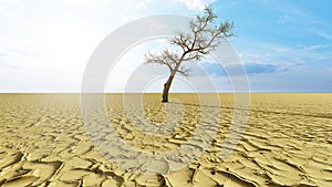 Concept or conceptual desert landscape with a parched tree as a metaphor for global warming and climate change. A warning for the