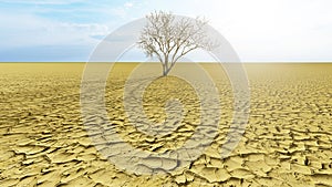 Concept or conceptual desert landscape with a parched tree as a metaphor for global warming and climate change. A warning for the