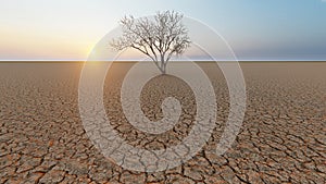 Concept or conceptual desert landscape with a parched tree as a metaphor for global warming and climate change. A warning for the