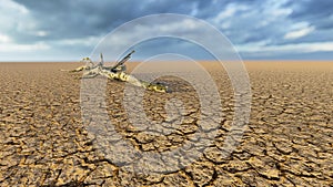 Concept or conceptual desert landscape with a parched tree trunck as a metaphor for global warming and climate change. A warning