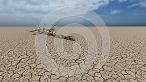 Desert landscape with a parched tree trunck photo