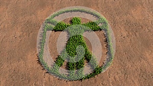 Green summer lawn grass symbol shape on brown soil or earth background, vitruvius man sign. photo