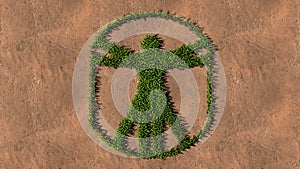 Green summer lawn grass symbol shape on brown soil or earth background, vitruvius man sign photo