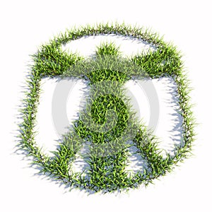 Green summer lawn grass symbol shape isolated on white background, sign of vitruvius man photo