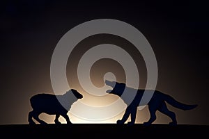 Concept conflict.Sheep versus wolf silhouette