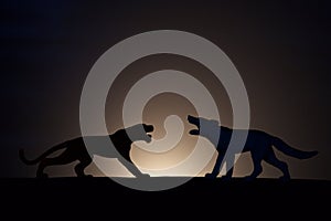 Concept conflict.Tiger versus wolf silhouette