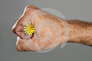 Concept and contrast of hairy man hand and flower