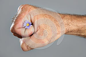 Concept and contrast of hairy man hand and flower