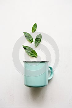 A concept or creative idea that signifies a useful drink or herbal or green tea. From the mug fly leaves