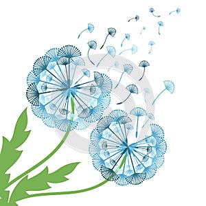 concept dandelion. Vector