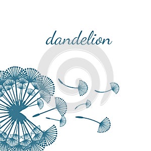 concept dandelion. Vector