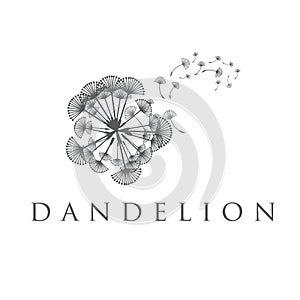 concept dandelion. Vector