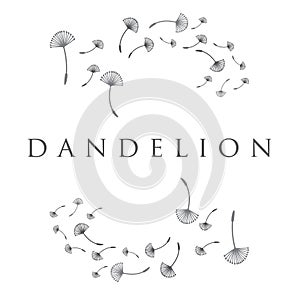 concept dandelion. Vector