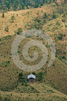 The concept of deforest.ation consists of destroyed huts and forests