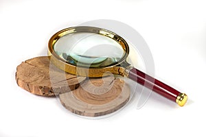 Concept dendrochronology. tree trunks clearly visible annual rings, magnifier with handle on white background photo