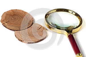 Concept dendrochronology. tree trunks clearly visible annual rings, magnifier with handle on white background photo