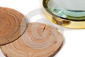 Concept dendrochronology. tree trunks clearly visible annual rings, magnifier with handle on white background photo