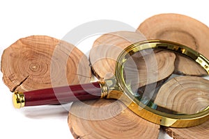 Concept dendrochronology. tree trunks clearly visible annual rings, magnifier with handle on white background photo