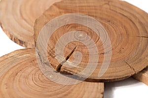 The Concept dendrochronology. tree trunks clearly visible annual rings, round slices of trees, white background photo