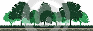 Green Oak Tree Forest Environment